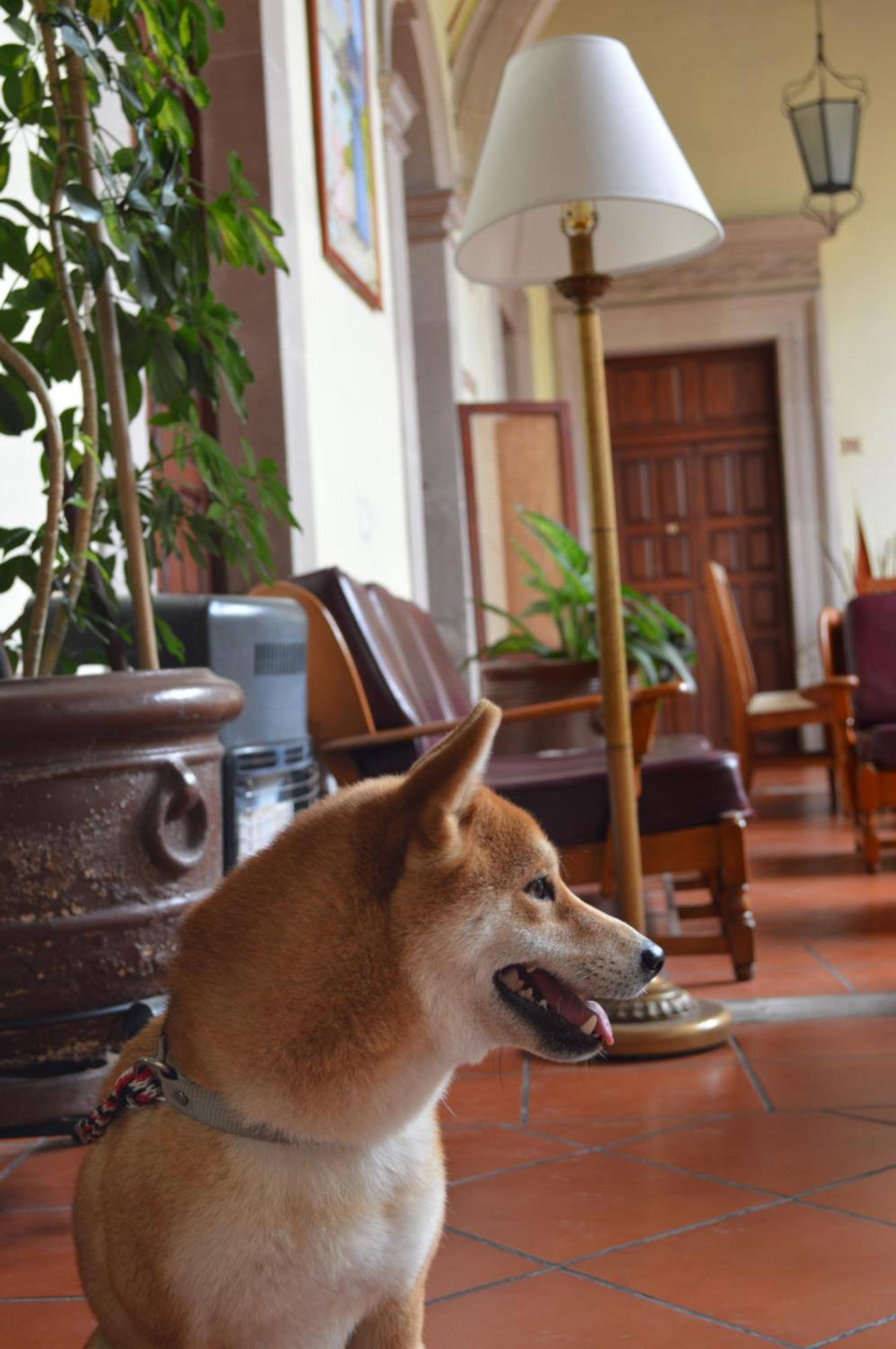 Hotel Posada San Agustin Durango Bagian luar foto