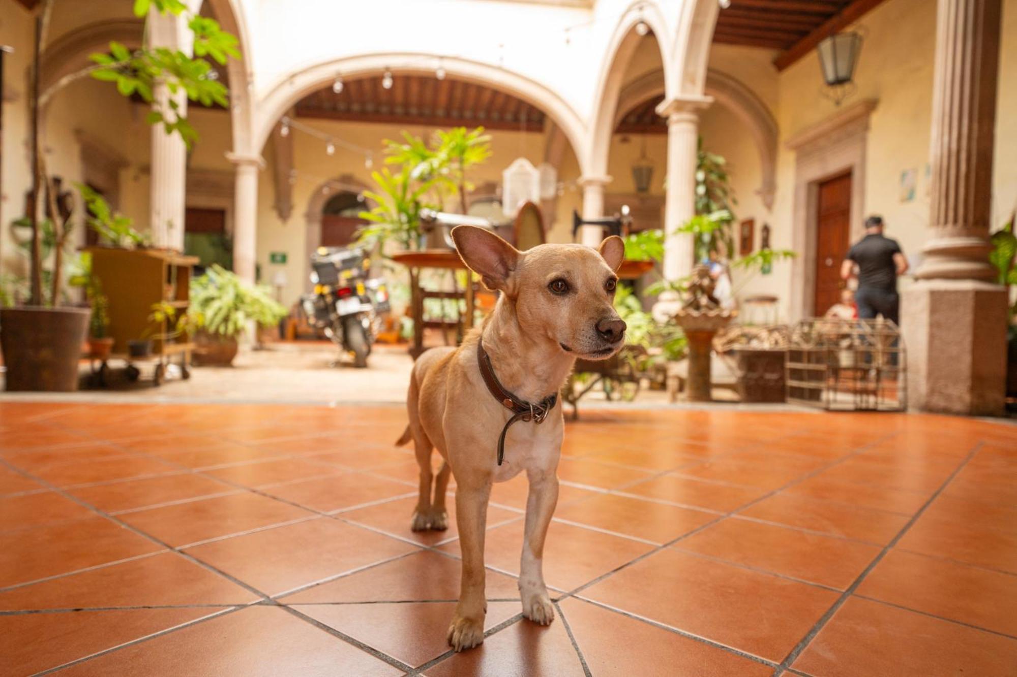 Hotel Posada San Agustin Durango Bagian luar foto